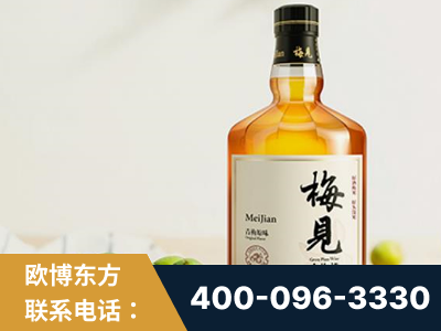 江门-梅见青梅酒